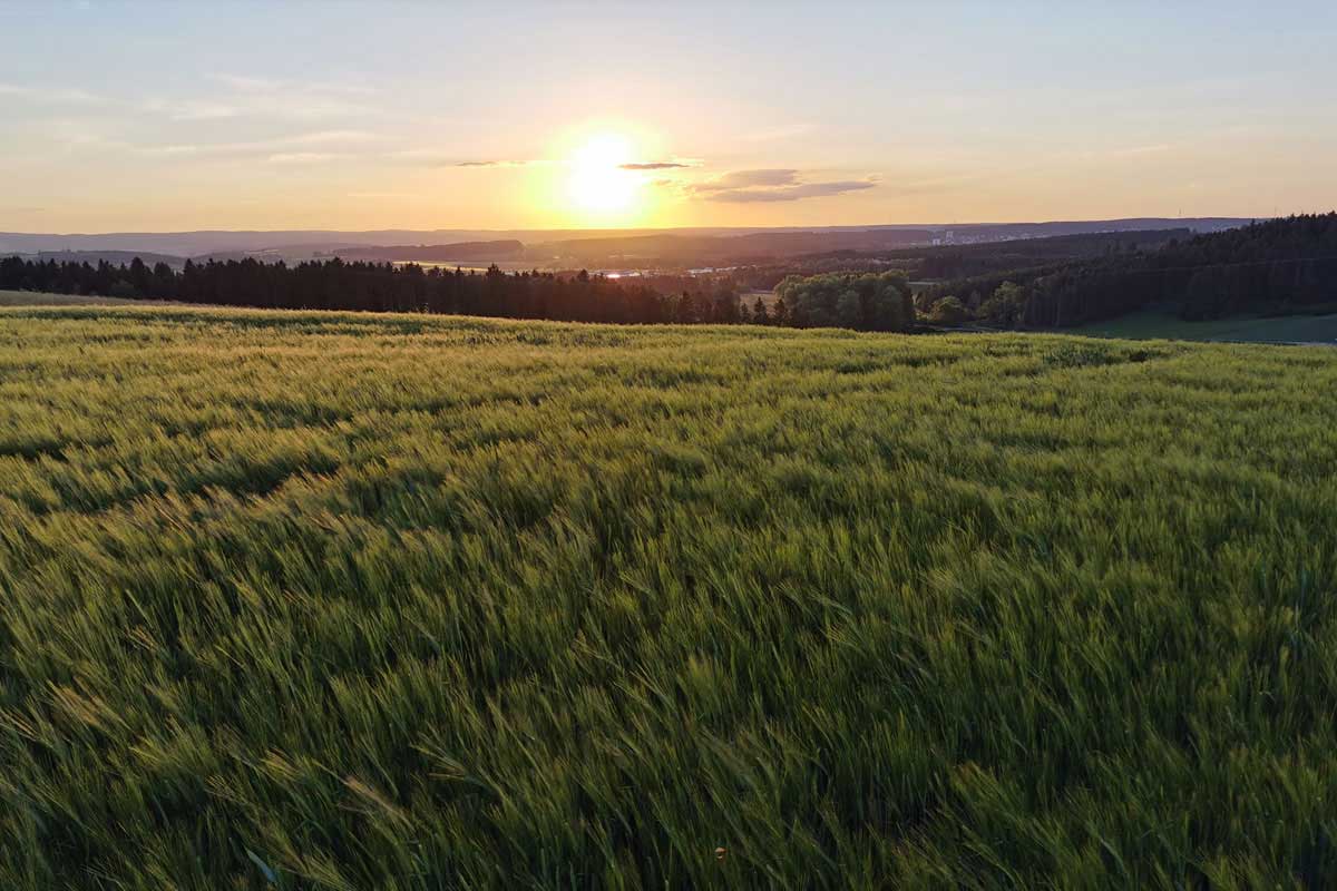 Wiesen und Felder rund um den KapfHof, Bad Dürrheim Wiesen und Felder rund um den KapfHof, Bad Dürrheim