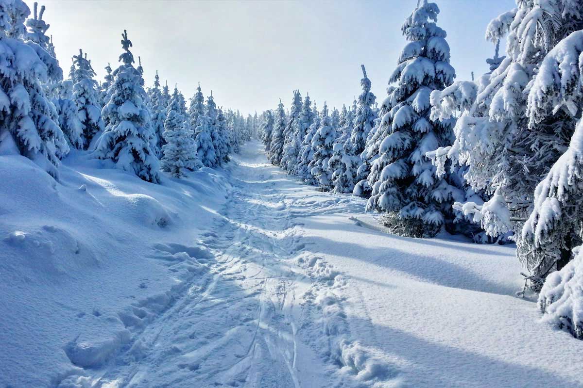 Verschneite Winterlandschaft - ideal für eine kleine Winterwanderung
