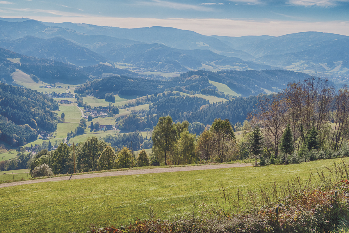 Urlaub VORM HOLZ Urlaub VORM HOLZ